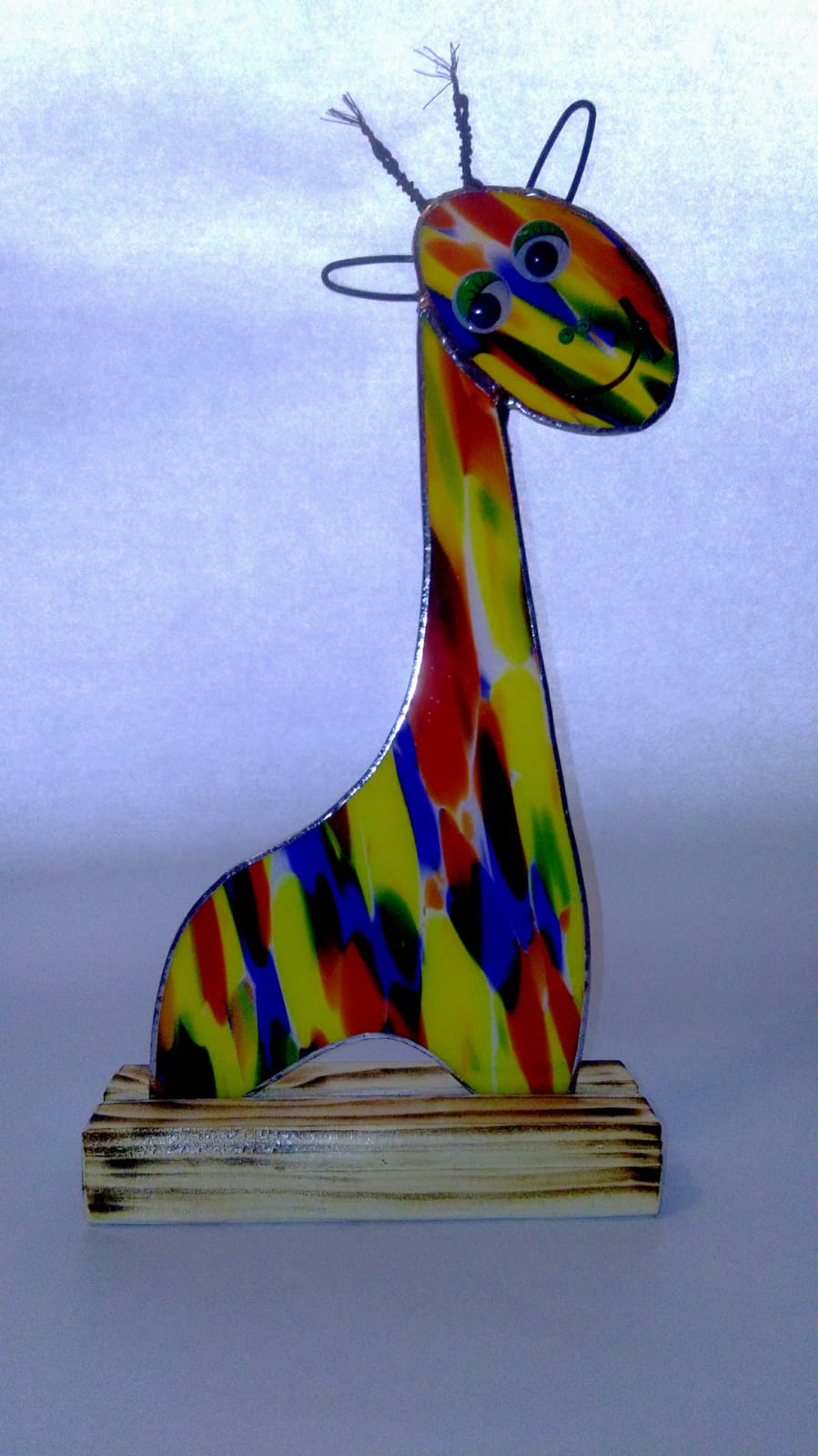 Žirafa 1